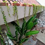 Habitación Recién restaurada - POD A